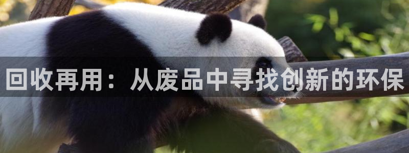 凯捷体育娱乐首页网站大全：回收再用：从废品中寻找创新