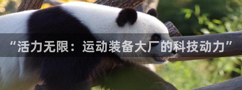 凯捷体育平台假的吗是真的吗吗：“活力无限：运动装备大