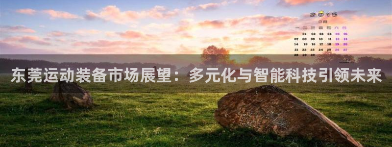 凯捷体育是干嘛的公司：东莞运动装备市场展望：多元化与