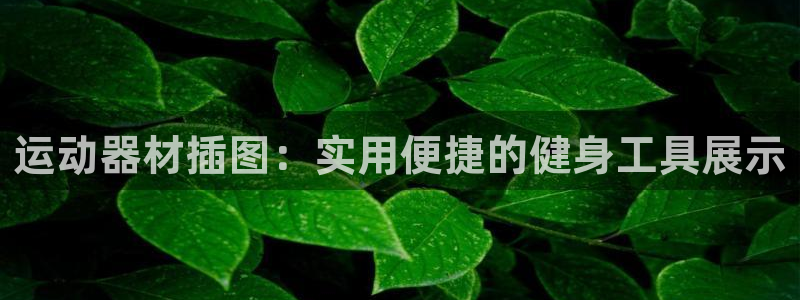 凯捷体育招商电话号码：运动器材插图：实用便捷的健身工