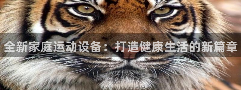 凯捷体育平台是正规平台吗：全新家庭运动设备：打造健康