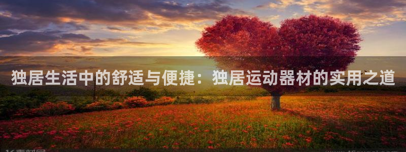 凯捷体育平台是正规平台吗知乎：独居生活中的舒适与便捷