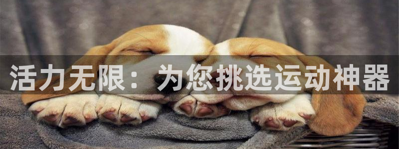 凯捷体育招商电话是多少号码