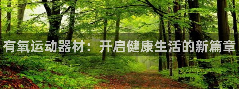 凯捷体育官网：有氧运动器材：开启健康生活的新篇章