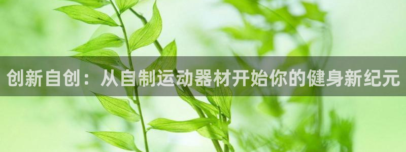 凯捷体育平台注册要钱吗是真的吗：创新自创：从自制运动器材开始
