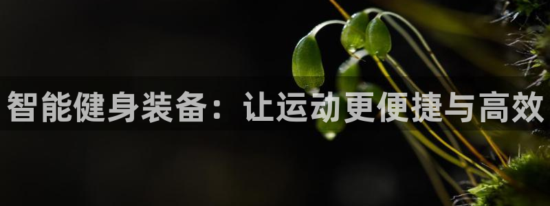 凯捷体育娱乐代理怎么样：智能健身装备：让运动更便捷与