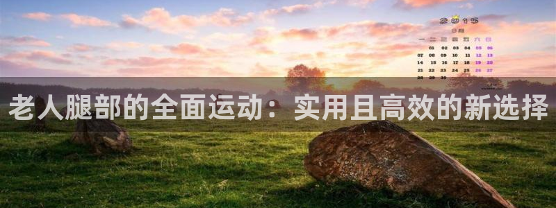 意昂平台体育：老人腿部的全面运动：实用且高效的新选择