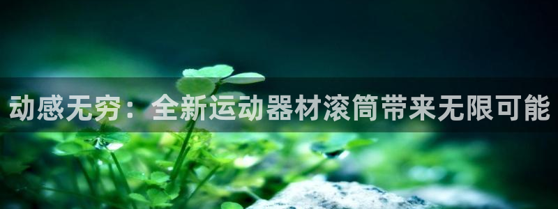 凯捷体育注册：动感无穷：全新运动器材滚筒带来无限可能