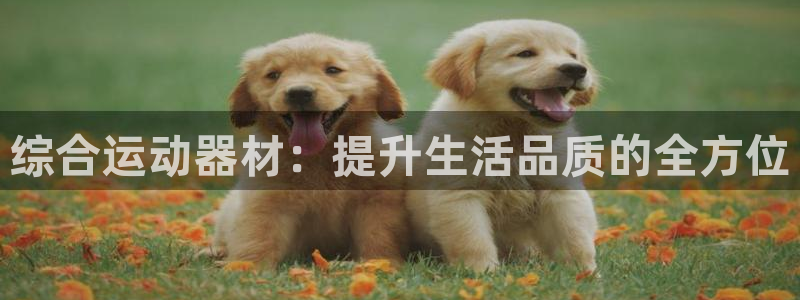 凯捷体育招商电话号码是多少啊：综合运动器材：提升生活品质的全