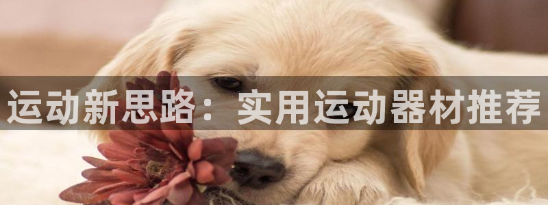 凯捷体育是干嘛的公司
