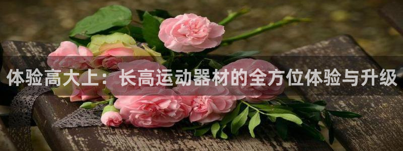 凯捷体育平台注册：体验高大上：长高运动器材的全方位体验与升级