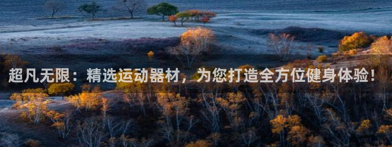 德国凯捷体育集团：超凡无限：精选运动器材，为您打造全方位健身