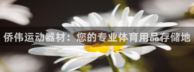 凯捷体育