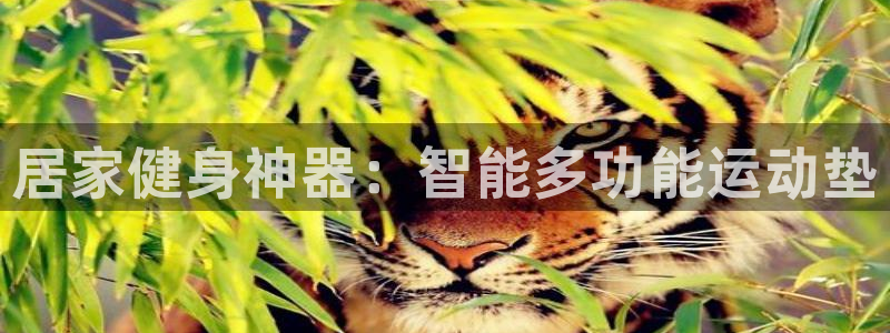 凯捷体育神州：居家健身神器：智能多功能运动垫