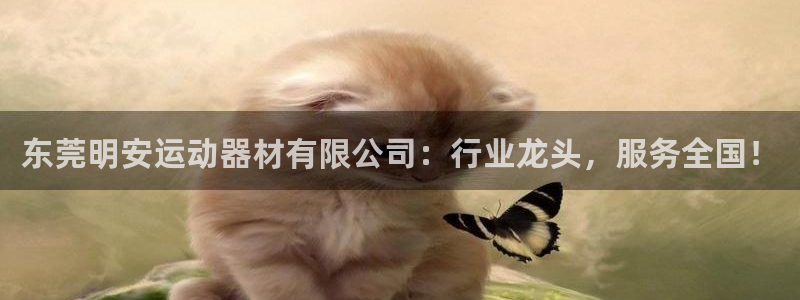 凯捷体育五金厂：东莞明安运动器材有限公司：行业龙头，服务全国