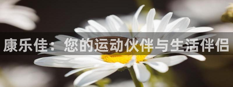 凯捷体育新能源：康乐佳：您的运动伙伴与生活伴侣