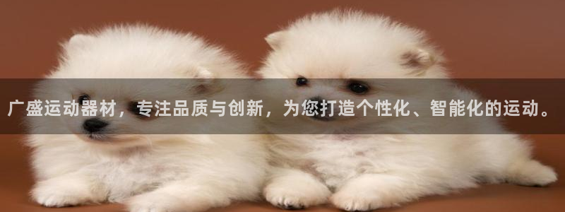 凯捷体育是干嘛的公司：广盛运动器材，专注品质与创新，为您打造