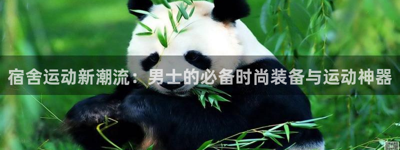 凯捷体育平台注册要钱吗是真的吗：宿舍运动新潮流：男士的必备时