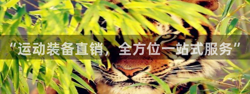 凯捷体育开户：“运动装备直销，全方位一站式服务”