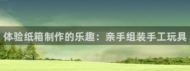 凯捷体育招商电话是多少啊：体验纸箱制作的乐趣：亲手组装手工玩