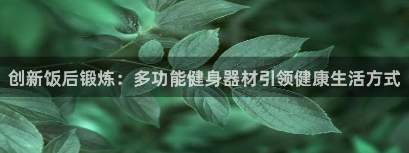 海南凯捷体育：创新饭后锻炼：多功能健身器材引领健康生