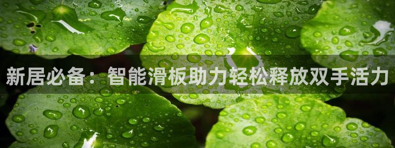 凯捷体育娱乐网站：新居必备：智能滑板助力轻松释放双手