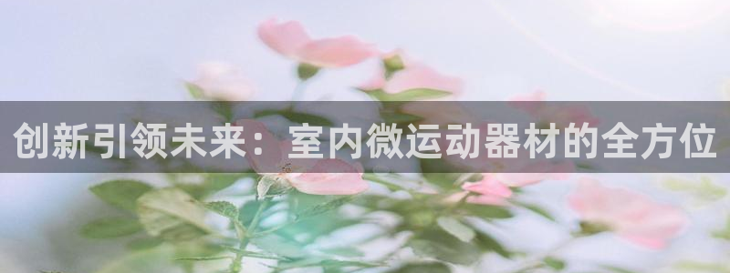 凯捷体育官网：创新引领未来：室内微运动器材的全方位