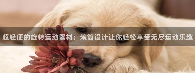 凯捷体育平台注册流程图：超轻便的旋转运动器材：滚筒设
