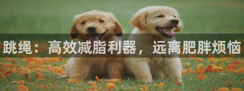 凯捷体育娱乐是那个系列的台子：跳绳：高效减脂利器，远