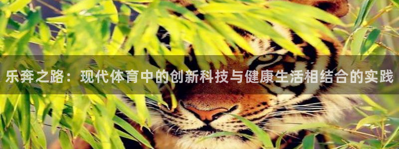 凯捷体育五金厂：乐奔之路：现代体育中的创新科技与健康