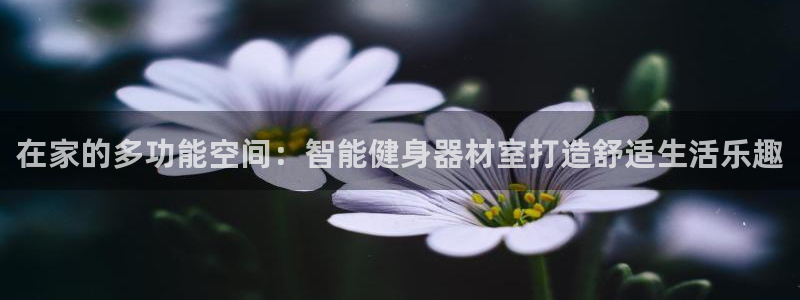 凯捷体育娱乐：在家的多功能空间：智能健身器材室打造舒