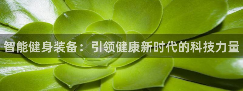 凯捷体育开户：智能健身装备：引领健康新时代的科技力量
