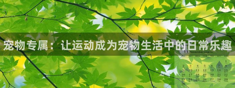 凯捷体育集团E.ON：宠物专属：让运动成为宠物生活中