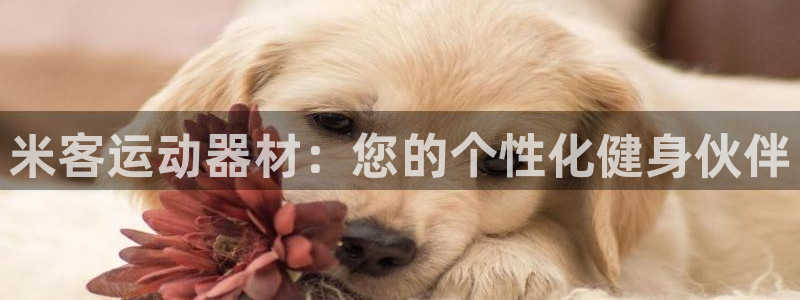 凯捷体育招商电话地址查询：米客运动器材：您的个性化健