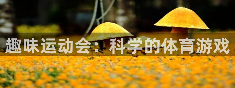 凯捷体育平台注册：趣味运动会：科学的体育游戏