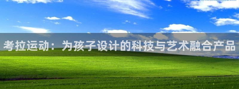 凯捷体育平台假的吗是真的吗：考拉运动：为孩子设计的科