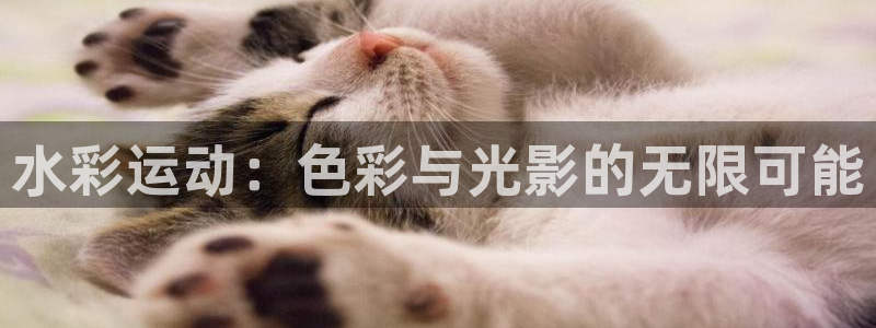 凯捷体育招商电话号码是多少号：水彩运动：色彩与光影的