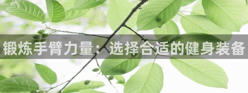 凯捷体育平台是正规平台吗：锻炼手臂力量：选择合适的健