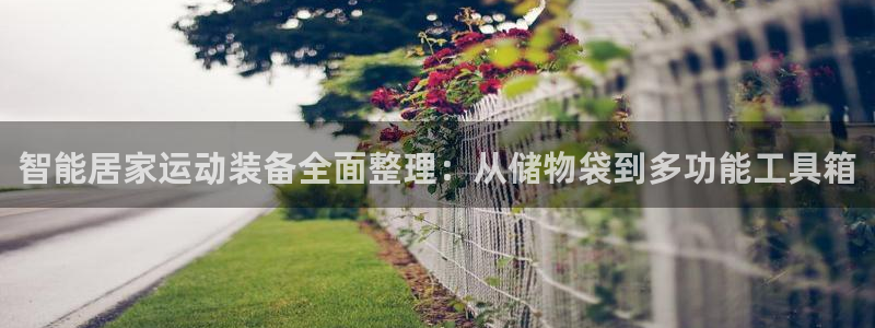 德国凯捷体育集团：智能居家运动装备全面整理：从储物袋