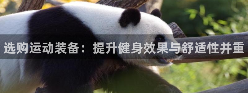 凯捷体育平台注册要钱吗是真的吗：选购运动装备：提升健