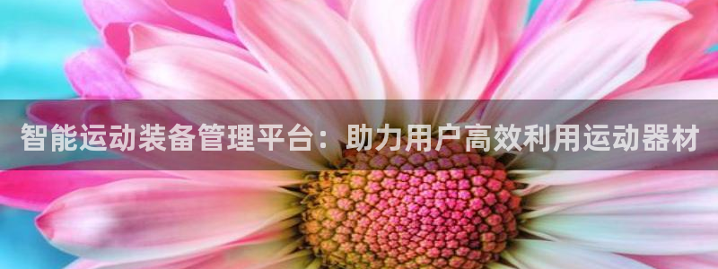 凯捷体育平台注册流程视频：智能运动装备管理平台：助力用户高效