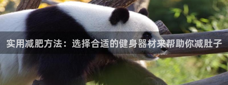 凯捷体育招商电话是多少号码：实用减肥方法：选择合适的