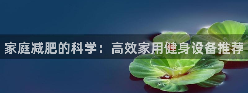 凯捷体育是干嘛的公司：家庭减肥的科学：高效家用健身设