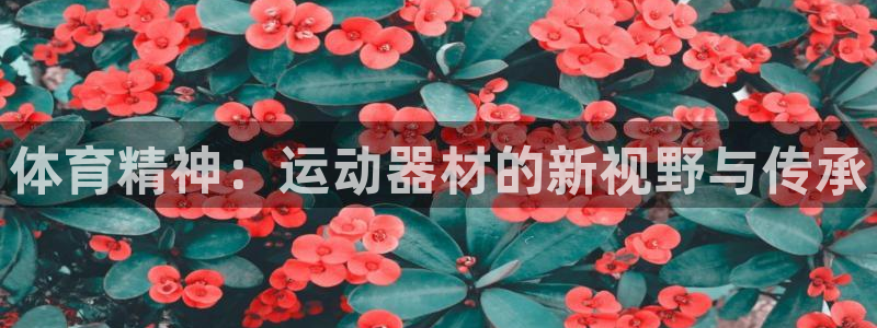 凯捷体育娱乐：体育精神：运动器材的新视野与传承