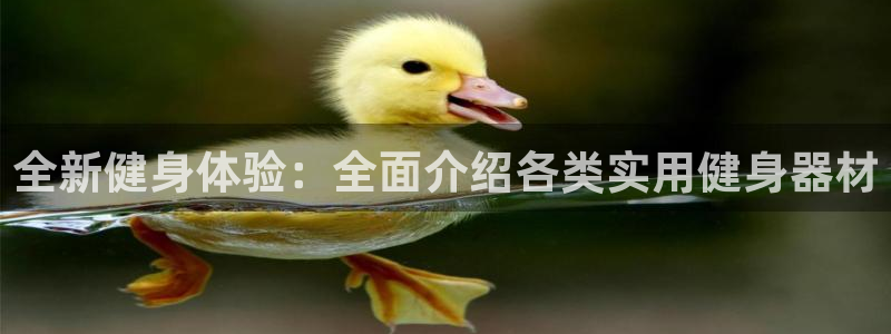 凯捷体育娱乐平台：全新健身体验：全面介绍各类实用健身器材