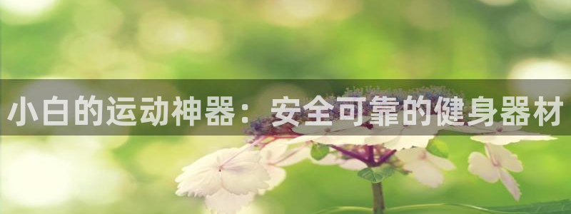 凯捷体育平台是正规平台吗安全吗：小白的运动神器：安全可靠的健