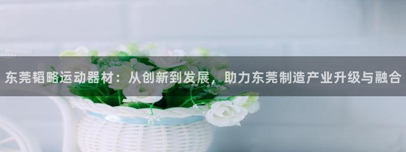 凯捷体育新能源：东莞韬略运动器材：从创新到发展，助力东莞制造