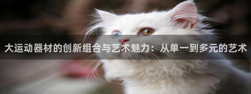 凯捷体育集团E.ON：大运动器材的创新组合与艺术魅力：从单一