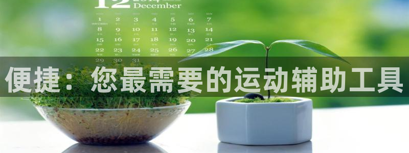 凯捷体育娱乐是那个系列的台子：便捷：您最需要的运动辅助工具