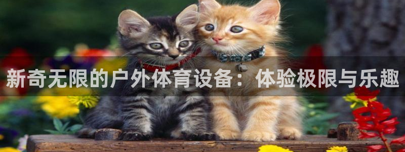 凯捷体育集团官网首页网址：新奇无限的户外体育设备：体验极限与